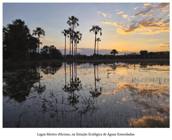  4 k- Lagoa Mestre de Armas, na Estação Ecológicas de Águas Emendadas O Por do Sol proporciona um espetáculo da natureza, onde as copas das árvores e nuvens são vistas através da água espelhada da lagoa. Realização: Academia Planaltinense de Letras, Artes e Ciências (APLAC), pelo Ecomuseu Pedra Fundamental e pelo Coletivo Nativo Audiodescrição produzida  pelo Instituto de Promoção das Pessoas com Deficiência Visual Audiodescritora: Elma Lúcia Rodrigues Consultor: Fernando Rodrigues Este projeto é promovido com recursos do Fundo de Apoio a Cultura do DF